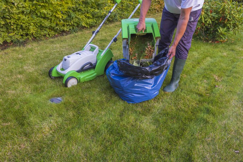 Spring Lawn Clean Up