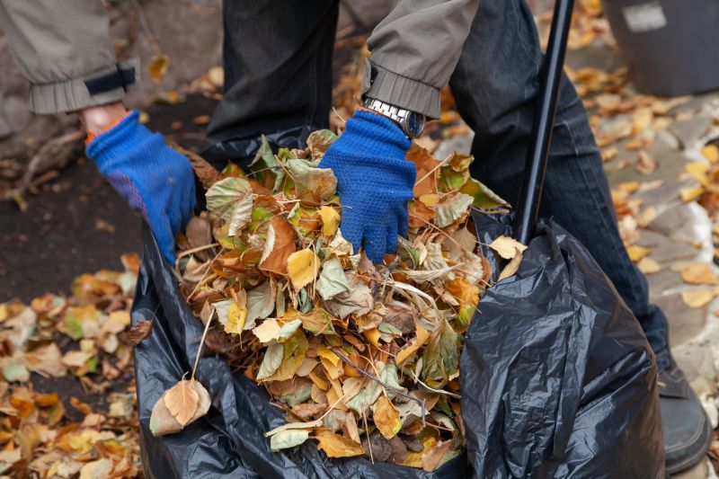 Autumn Leaf Removal in Ventura County, CA