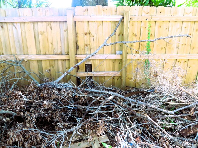 Brush Cleaning Service in Honolulu, HI