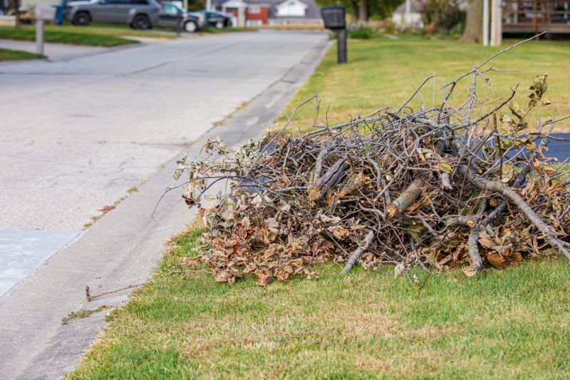 Brush Cleanup Service in Ventura County, CA