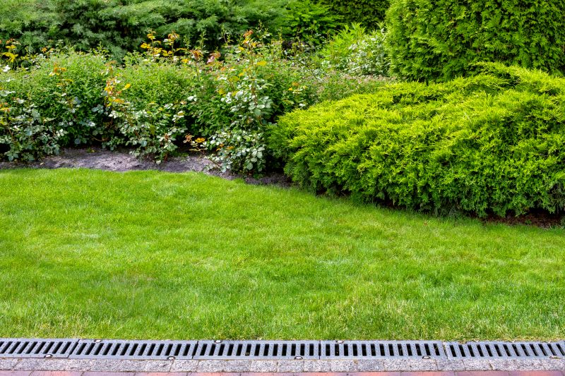Bush Landscaping in Honolulu, HI