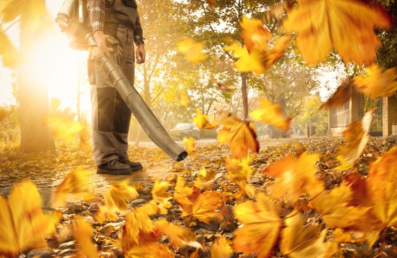 Commercial Leaf Removal in Ventura County, CA