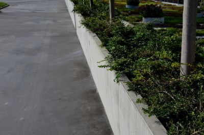 Concrete Edging Replacement in Honolulu, HI
