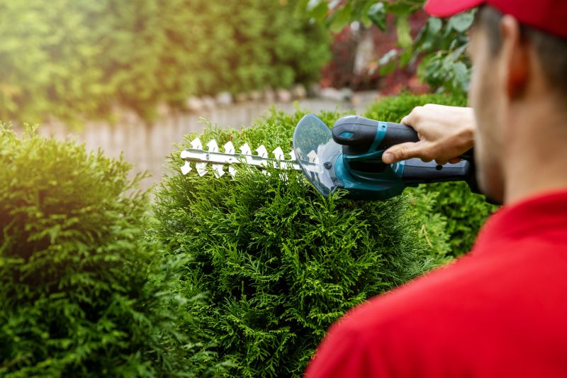 Evergreen Hedge Trimming in Honolulu, HI