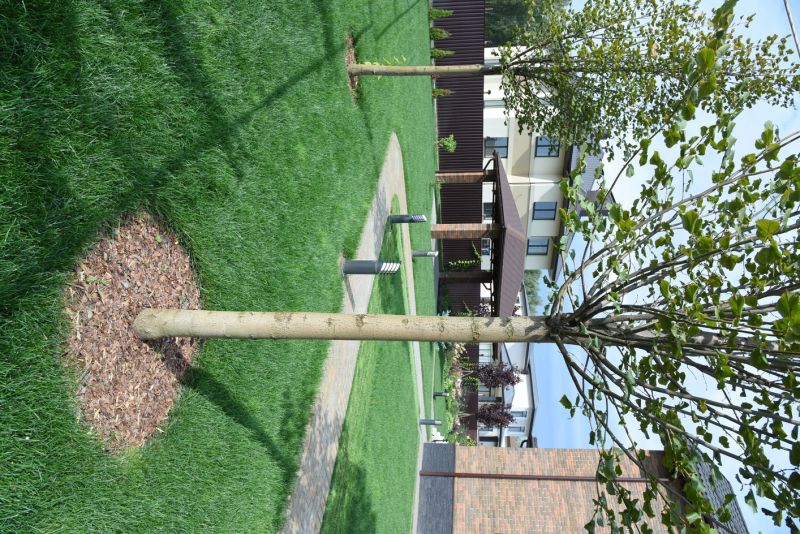 Fruit Tree Planting in Ventura County, CA