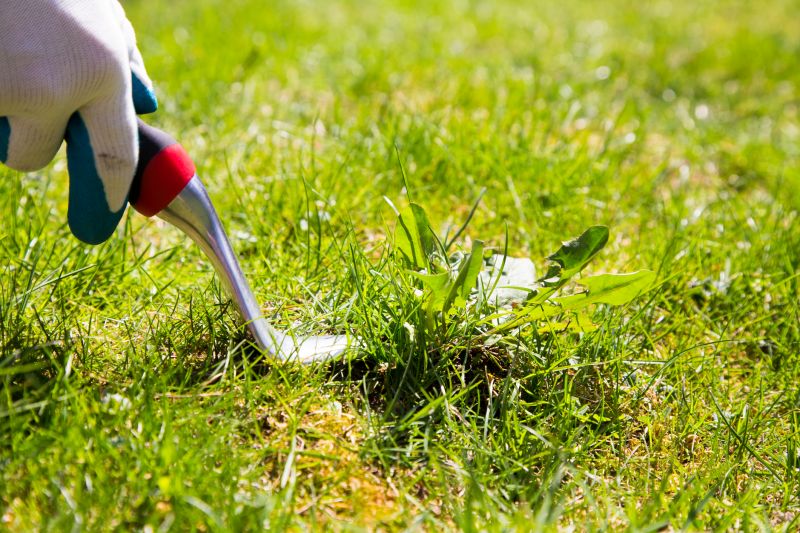 Garden Deweeding in Rockwall, TX