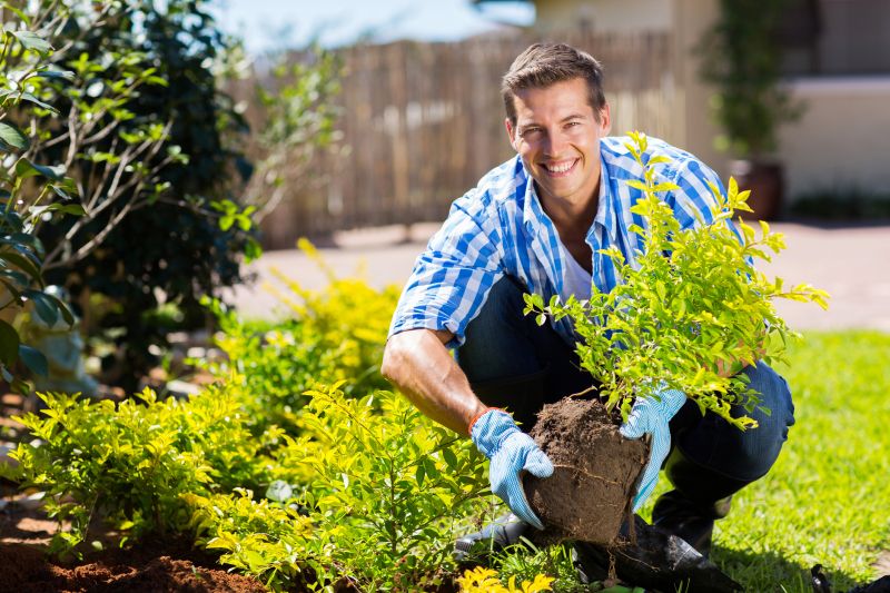 Garden Planting Service in Ventura County, CA