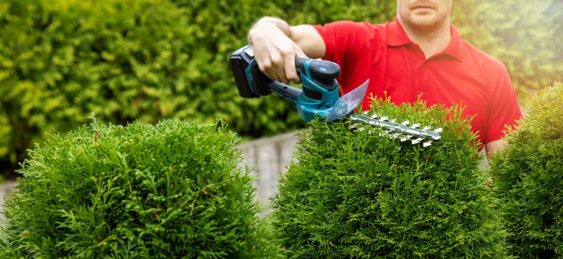 Hedge Shaping Service in Honolulu, HI