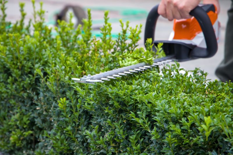 Hedge Trimming in Honolulu, HI