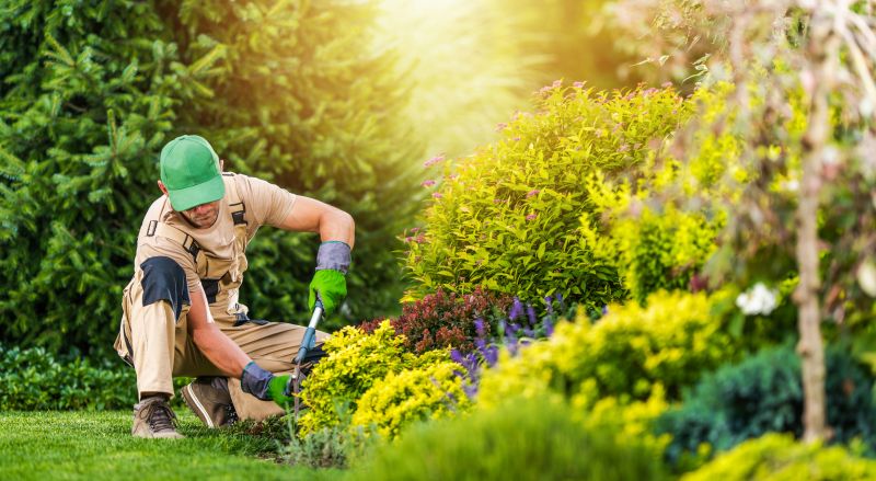 Home Gardening Service in Honolulu, HI