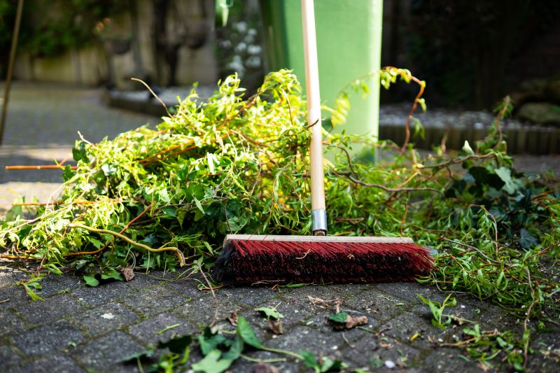 Lawn Debris Cleanup in Honolulu, HI
