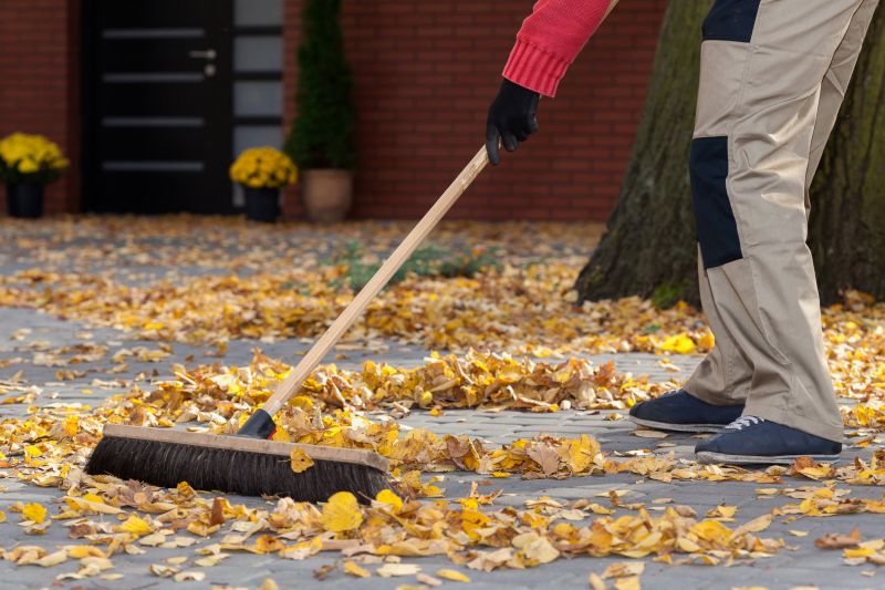 Leaves Vacuuming in Ventura County, CA