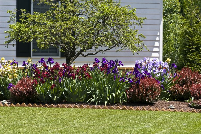 Shrub Replacement in Ventura County, CA