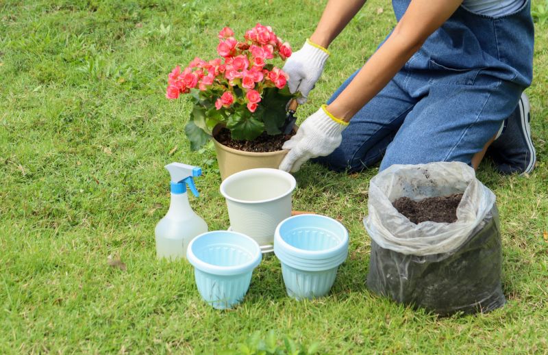 Small Garden Landscaping in Ventura County, CA