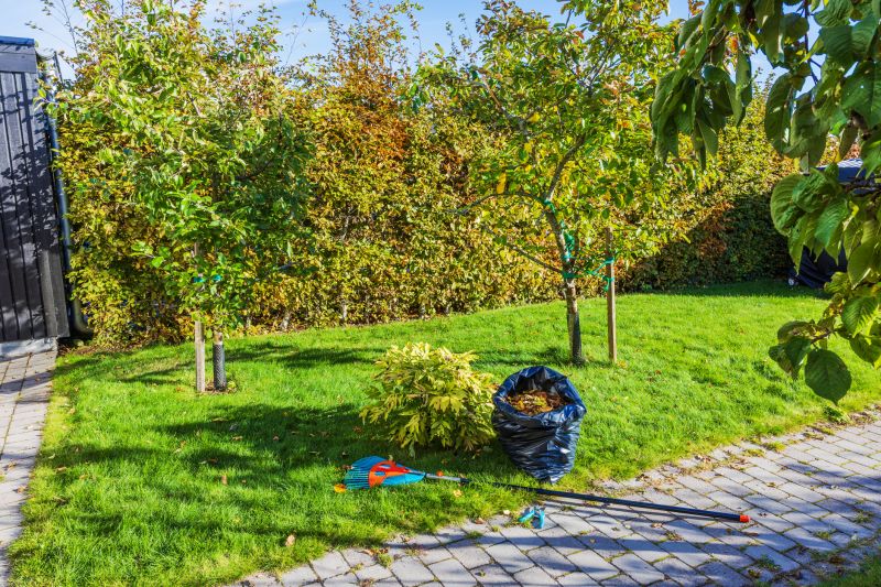 Spring Lawn Clean Up