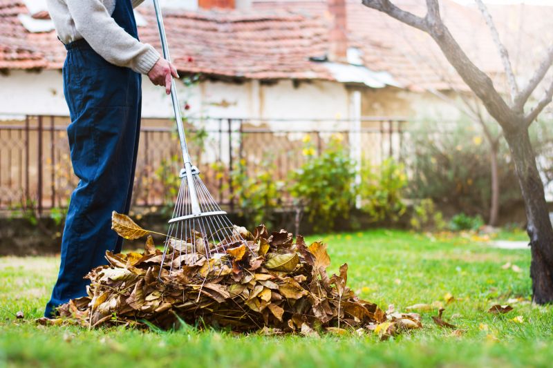 Spring Lawn Clean Up Cost — Cost of Spring Lawn Clean Up