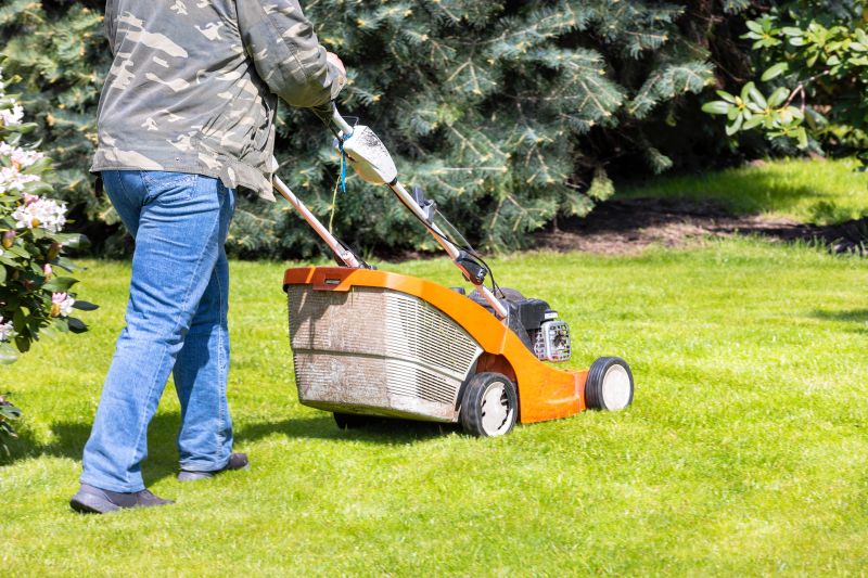 Spring Lawn Clean Up