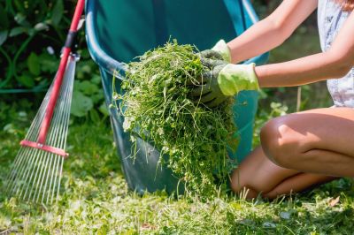 Spring Lawn Clean Up