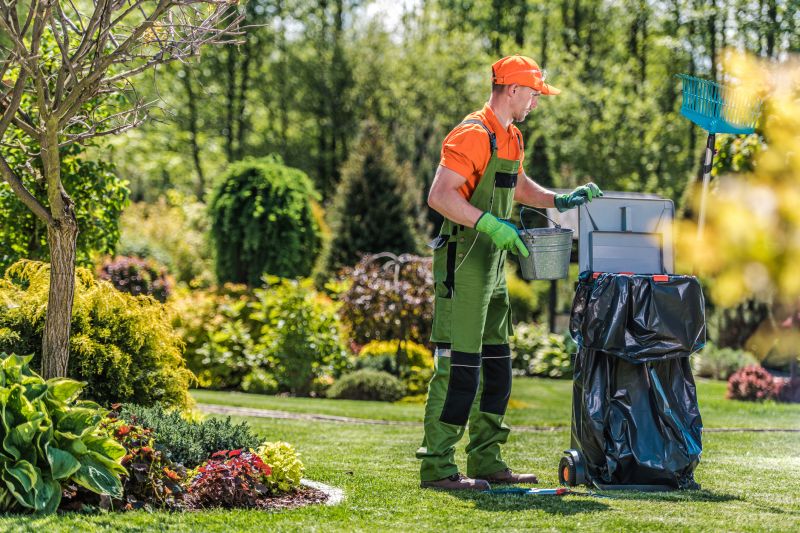 Spring Lawn Clean Up