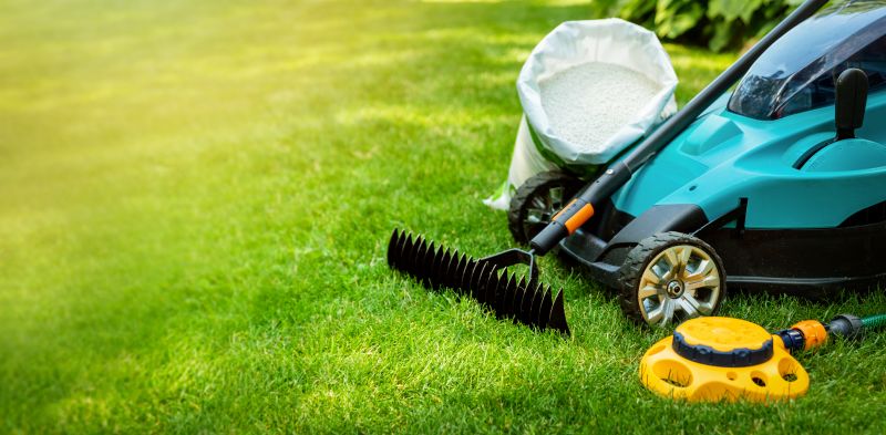 Spring Lawn Clean Up