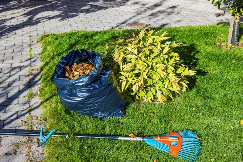 Spring Lawn Clean Up