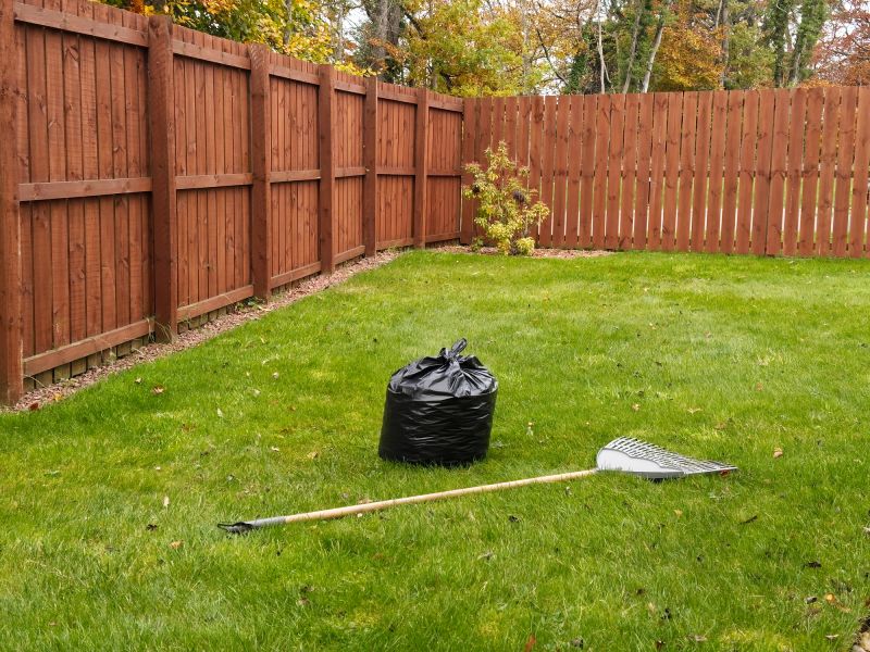 Spring Lawn Clean Up