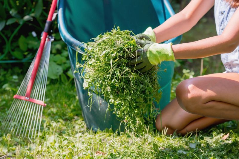 Spring Lawn Cleanup in Ventura County, CA