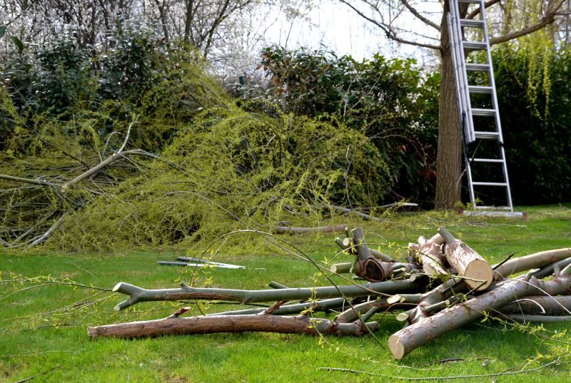 Tree Debris Removal in Ventura County, CA