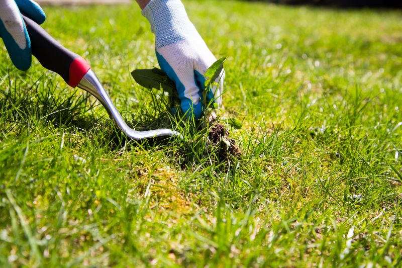 Weeding Service in Honolulu, HI