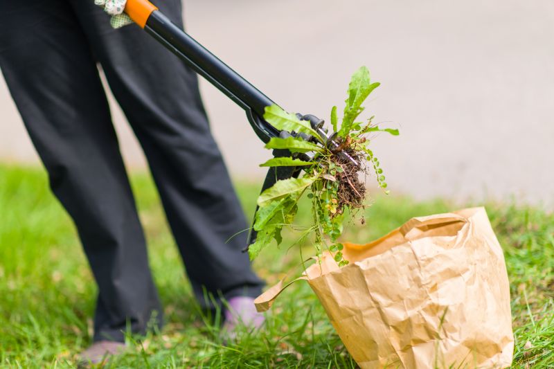 Weeding Service in Rockwall, TX